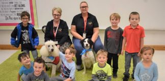 Good Hope Primary welcomes Alliance of Therapy Dogs