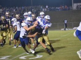 PREP FOOTBALL: Cold Springs edges Winston County on the road 20-14