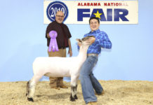 Local students bring home ribbons from Youth Sheep Show during Alabama National Fair