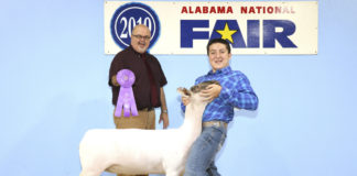Local students bring home ribbons from Youth Sheep Show during Alabama National Fair