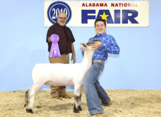 Local students bring home ribbons from Youth Sheep Show during Alabama National Fair