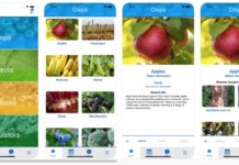 Alabama Extension launches Farming Basics app