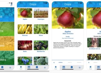 Alabama Extension launches Farming Basics app