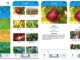 Alabama Extension launches Farming Basics app