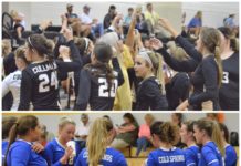 PREP VOLLEYBALL: Addison wins Area Tournament crown; Cullman, Cold Springs headed to North Super Regional