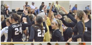 PREP VOLLEYBALL: Addison wins Area Tournament crown; Cullman, Cold Springs headed to North Super Regional