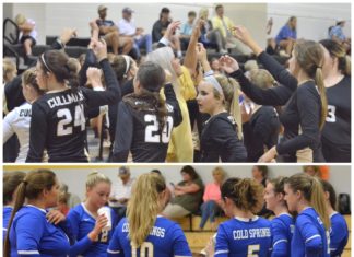 PREP VOLLEYBALL: Addison wins Area Tournament crown; Cullman, Cold Springs headed to North Super Regional