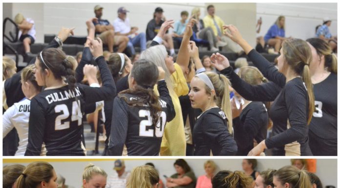 PREP VOLLEYBALL: Addison wins Area Tournament crown; Cullman, Cold Springs headed to North Super Regional