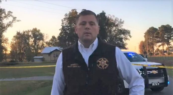 (Update) 2 children, ages 9 and 3, found murdered near Baileyton; mother arrested