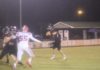 PREP FOOTBALL: Meek falls to Lynn 35-12 in regular season finale