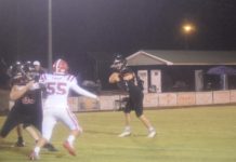 PREP FOOTBALL: Meek falls to Lynn 35-12 in regular season finale