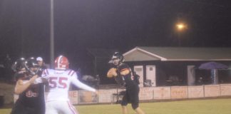 PREP FOOTBALL: Meek falls to Lynn 35-12 in regular season finale