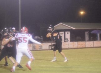 PREP FOOTBALL: Meek falls to Lynn 35-12 in regular season finale