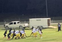 PREP FOOTBALL: Bulldogs leave Tanner with 44-25 region win