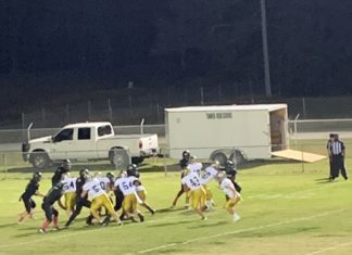 PREP FOOTBALL: Bulldogs leave Tanner with 44-25 region win