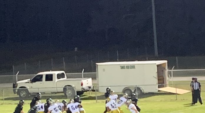 PREP FOOTBALL: Bulldogs leave Tanner with 44-25 region win