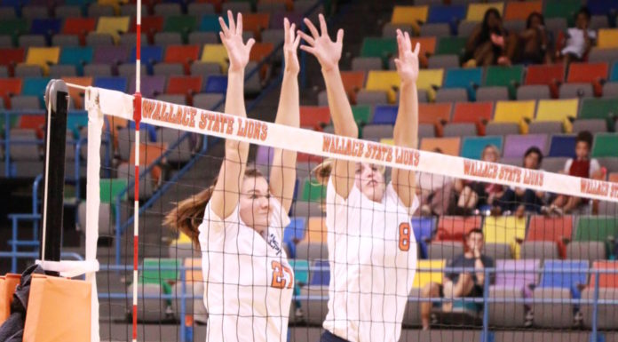 No. 16 Wallace State volleyball notches 30th win of season; Women’s golf finishes runner-up in Redhawk Classic