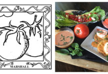 67-County Alabama Garden Party: Marshall County