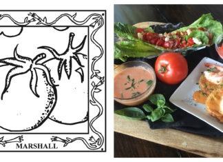 67-County Alabama Garden Party: Marshall County