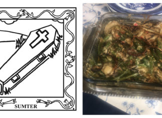 67-County Alabama Garden Party: Sumter County