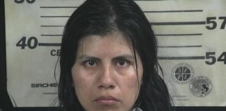 (Updated) Baileyton mom charged with 3 counts capital murder