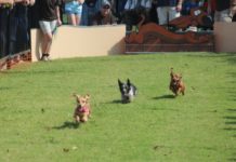 Saturday in Cullman: Oktoberfest, County Fair, a haunting and more!