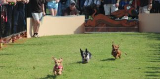 Saturday in Cullman: Oktoberfest, County Fair, a haunting and more!