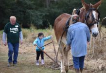 Peinhardt Farm Day returns this Saturday, Oct. 19