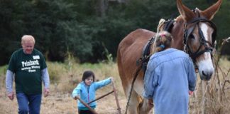 Peinhardt Farm Day returns this Saturday, Oct. 19