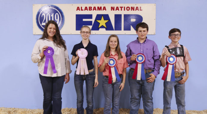 Local students bring home ribbons in Premier Exhibitor Contest, livestock shows during Alabama National Fair