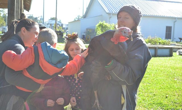 Gobble, gobble: ‘Turkey Time’ at the Agriplex