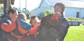 Gobble, gobble: ‘Turkey Time’ at the Agriplex