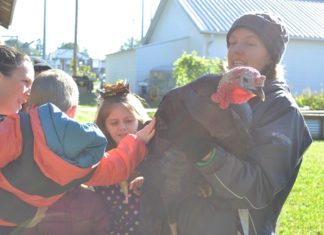 Gobble, gobble: ‘Turkey Time’ at the Agriplex