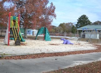 City awarded $350K for Nesmith Park renovation