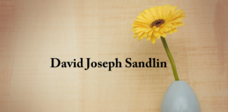 Obituary: David Joseph Sandlin