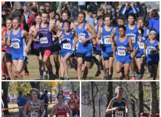 STATE CROSS COUNTRY: Local teams, individuals shine at AHSAA State Cross Country Championships