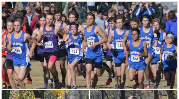 STATE CROSS COUNTRY: Local teams, individuals shine at AHSAA State Cross Country Championships
