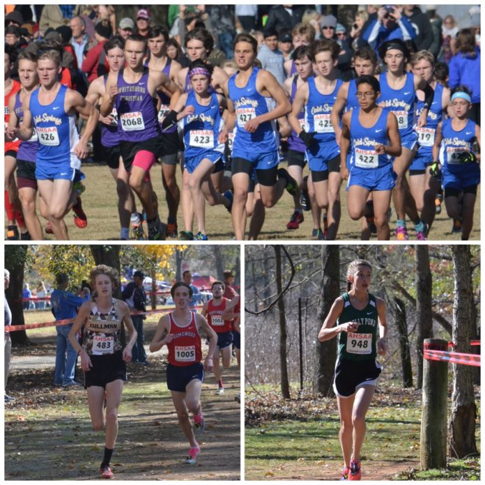 STATE CROSS COUNTRY Local teams, individuals shine at AHSAA State