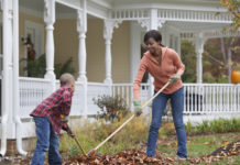 Fall: Time for a garden refresh