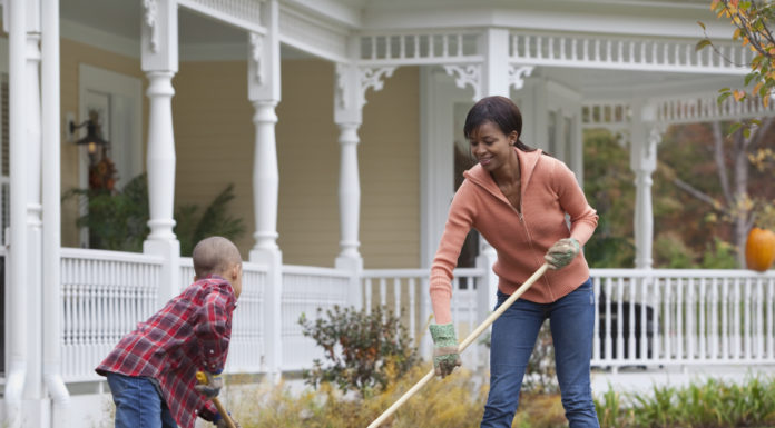 Fall: Time for a garden refresh