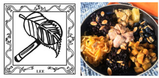 67-County Alabama Garden Party: Lee County