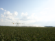 Irrigation tax credit for farmers