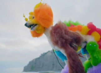 ‘Well Groomed’ looks at world of competitive creative dog grooming Nov. 14