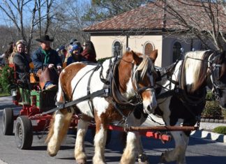 Reserve your Christmas wagon rides at the Shrine