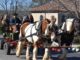 Reserve your Christmas wagon rides at the Shrine
