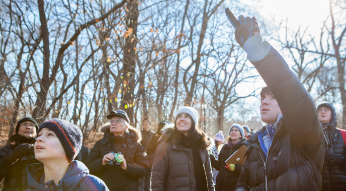 Cullman Christmas Bird Count set for Dec. 15