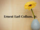 Obituary: Ernest Earl Collum, Jr.