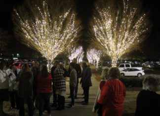 Annual Lights of Love program set for Dec. 5
