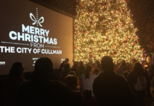 2020 Christmas Parade, Tree Lighting canceled due to COVID; virtual options to be announced