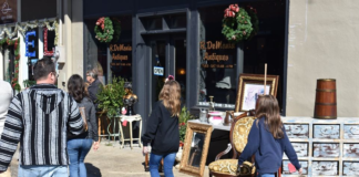 Surviving Black Friday